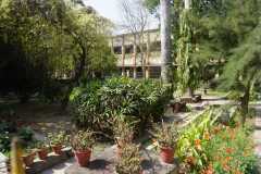 Botanical-garden-1